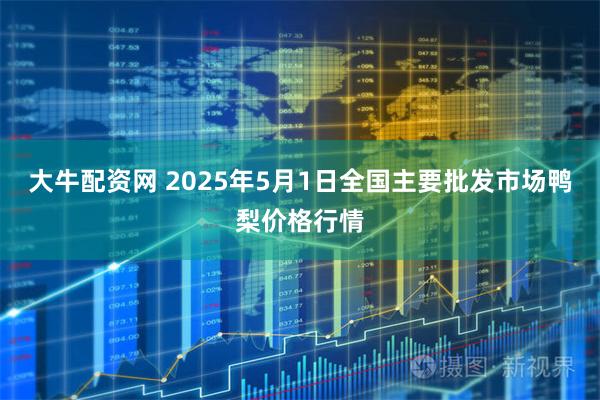 大牛配资网 2025年5月1日全国主要批发市场鸭梨价格行情