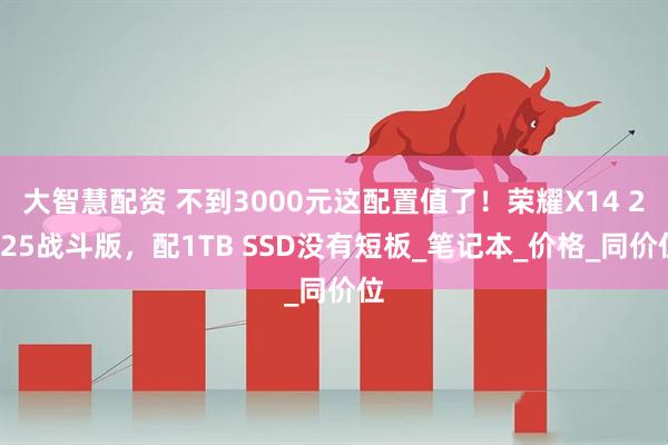大智慧配资 不到3000元这配置值了！荣耀X14 2025战斗版，配1TB SSD没有短板_笔记本_价格_同价位