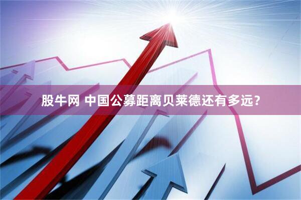 股牛网 中国公募距离贝莱德还有多远?